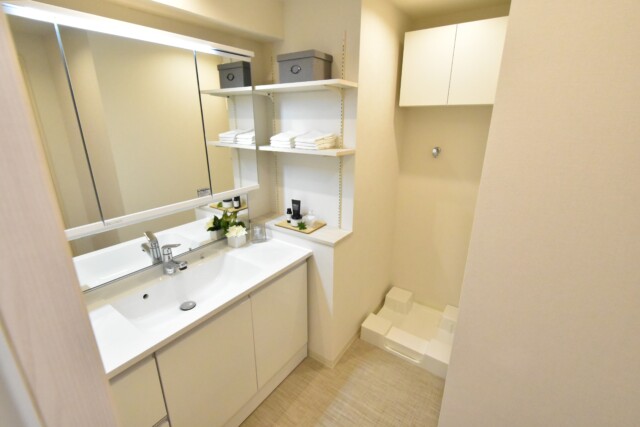 メゾン小石川 洗面室