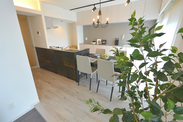 フラット田園調布806号室 リビング