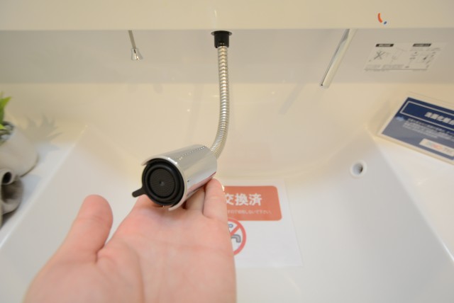 シャンボール小石川 洗面