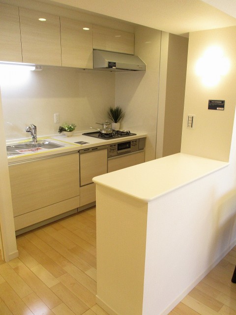 日商岩井碑文谷マンション キッチン