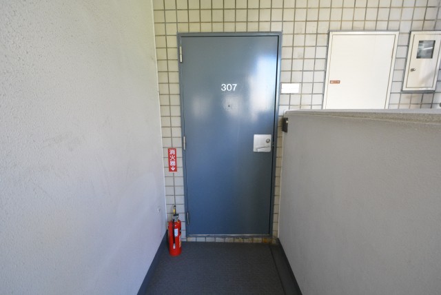 グランドメゾン野沢307　扉