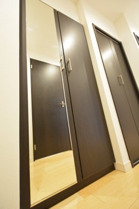 グランドメゾン野沢307　鏡