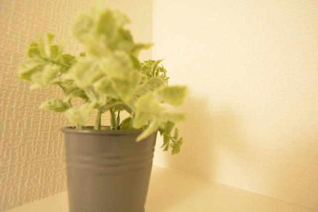 上馬ハイホーム906