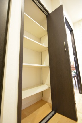 グランドメゾン野沢307　収納