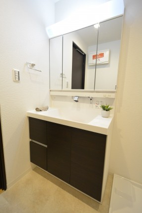 グランドメゾン野沢307　三面鏡