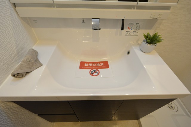 グランドメゾン野沢307　洗面台