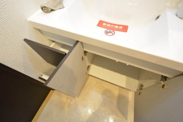 グランドメゾン野沢307　収納