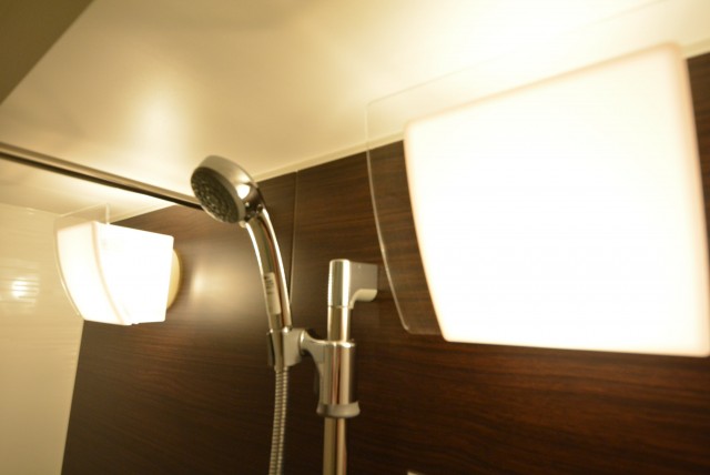 グランドメゾン野沢307　照明