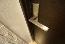 グランドメゾン野沢307　扉