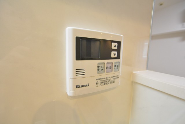 グランドメゾン野沢307　ボタン