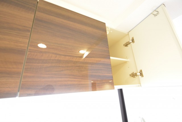 グランドメゾン野沢307　収納