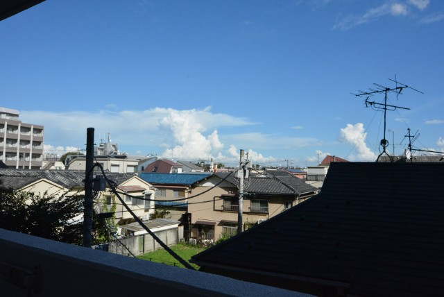 グランドメゾン野沢307　眺望