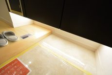 エルアルカサル小石川　シューズボックス