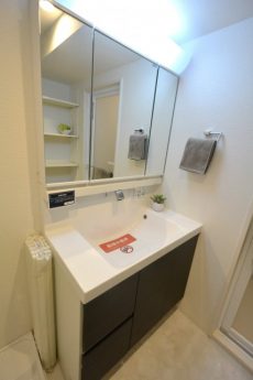 エルアルカサル小石川　洗面台