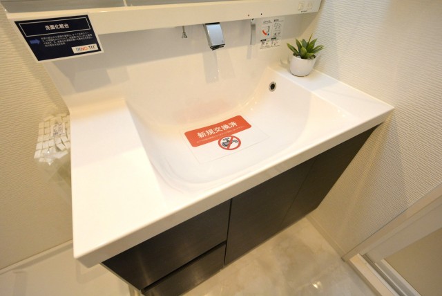 エルアルカサル小石川　洗面台