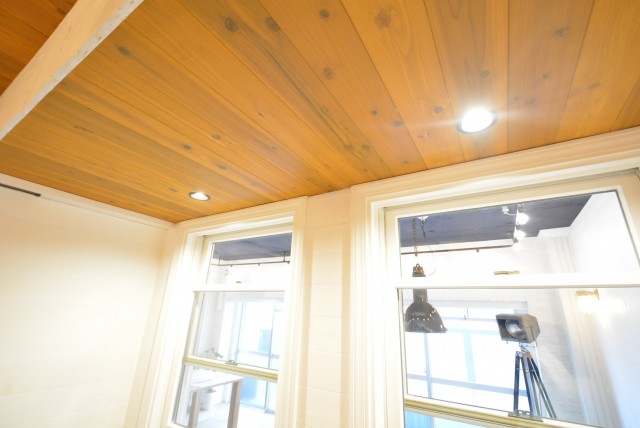 ハイツ赤坂505　照明