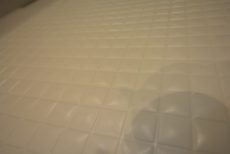 エルアルカサル小石川　バスルーム