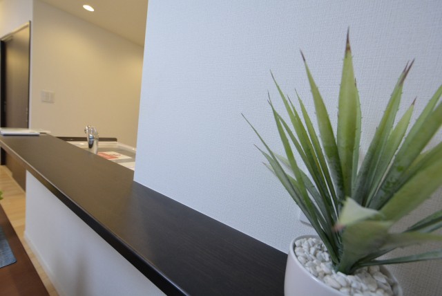 エルアルカサル小石川　リビングダイニングキッチン