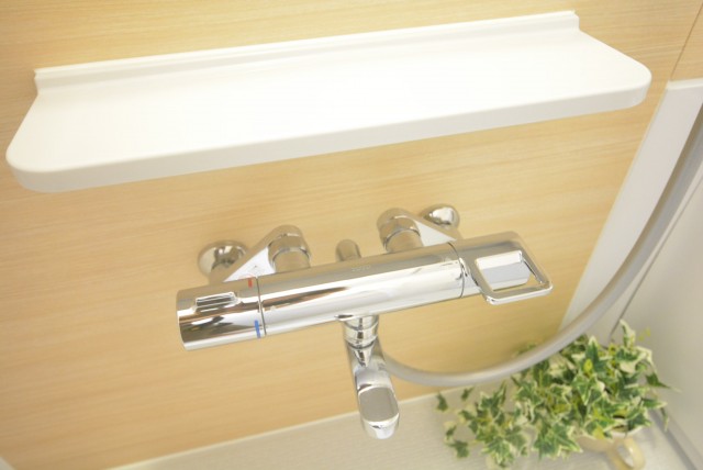 メゾン小石川　バスルーム