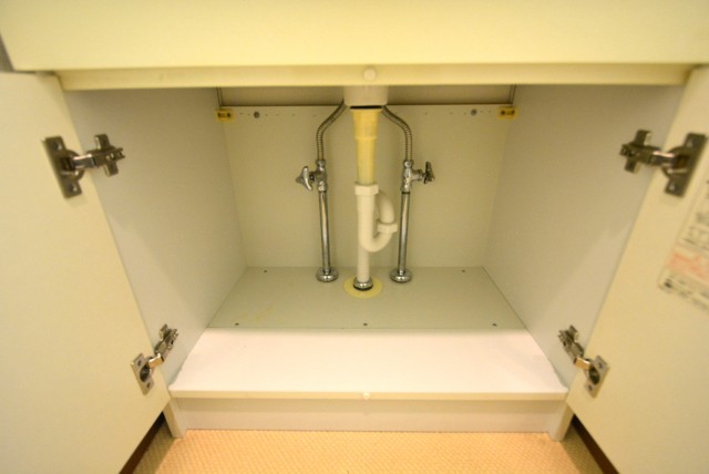 ミリオンガーデン小石川　洗面台