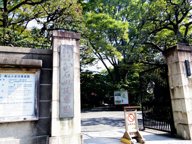 エルアルカサル小石川　周辺環境