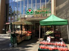 ミリオンガーデン小石川　周辺環境