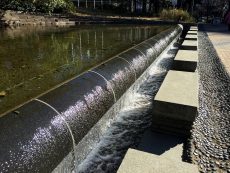 メゾン小石川　周辺環境