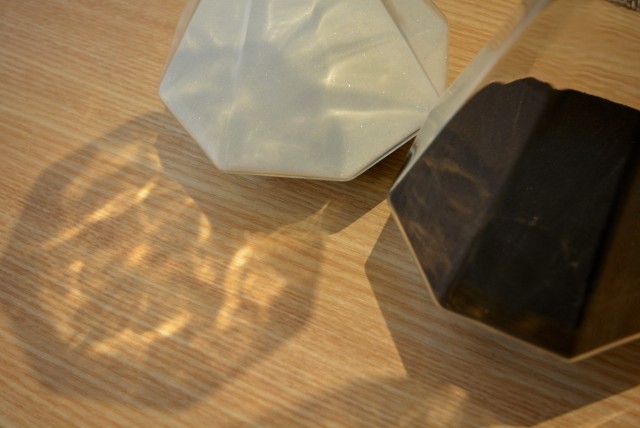 ラグナタワー LDK