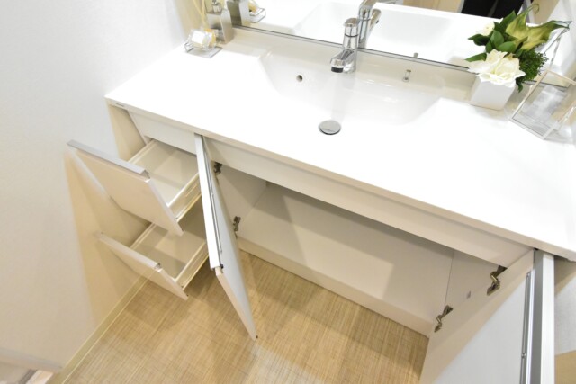 メゾン小石川 洗面室