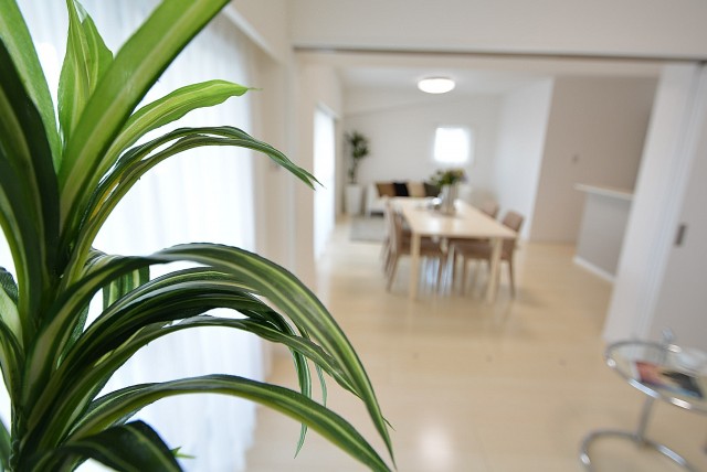 グランドメゾン野沢12F LD (13)