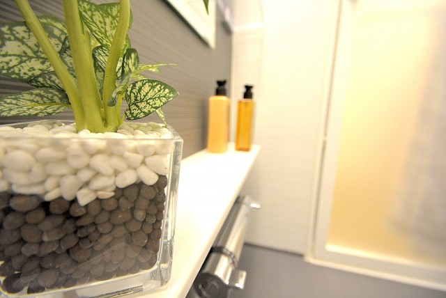 フラット田園調布806号室 バス