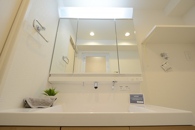 シャンボール小石川 洗面