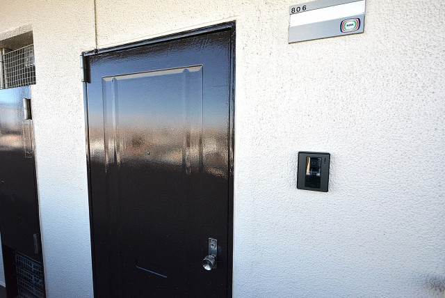 フラット田園調布806号室 ドア