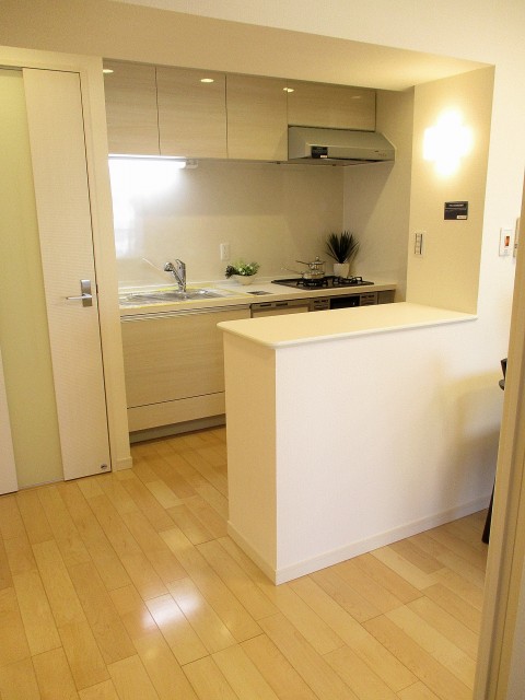 日商岩井碑文谷マンション LDK (4)