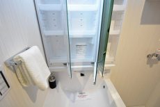 グランドメゾン野沢12F 洗面