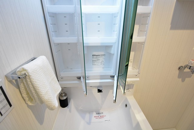 グランドメゾン野沢12F 洗面