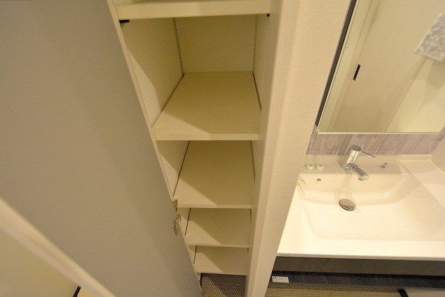 フラット田園調布806号室 洗面 (8)