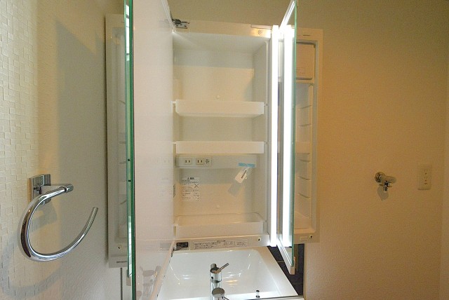 ライオンズマンション馬事公苑第2　洗面