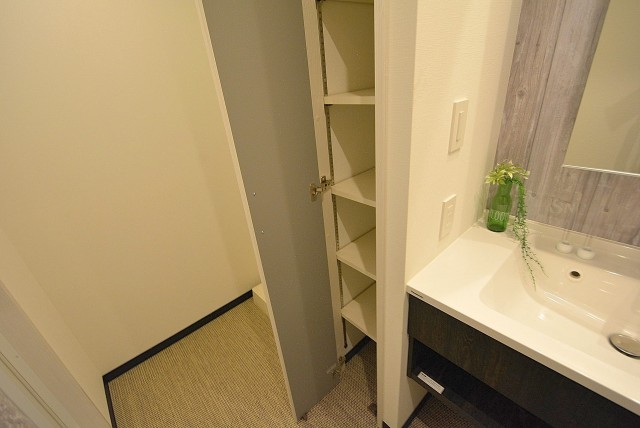 フラット田園調布806号室 洗面