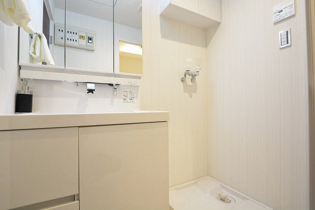 グランドメゾン野沢12F 洗面