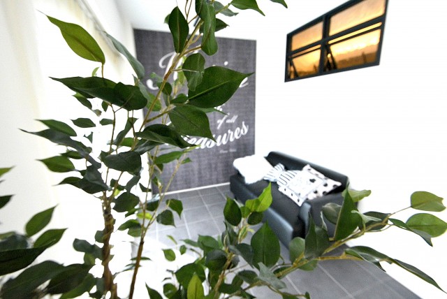 フラット田園調布806号室 リビング (16)