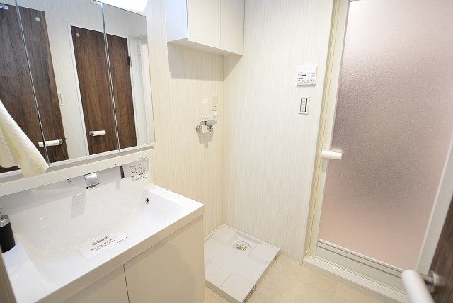 グランドメゾン野沢12F 洗面