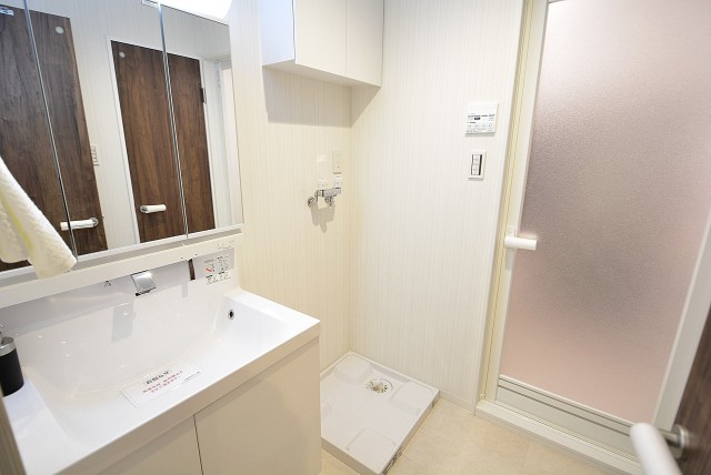 グランドメゾン野沢12F 洗面