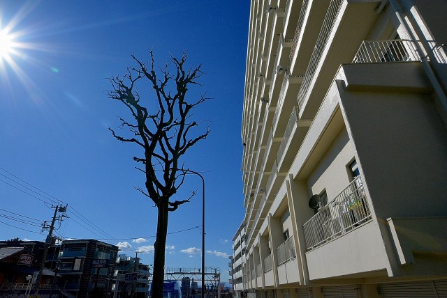 フラット田園調布806号室 外観 (2)