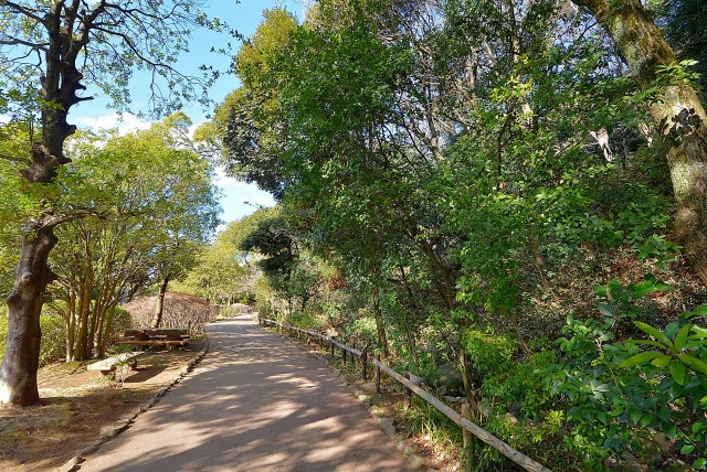 フラット田園調布806号室 周辺環境 (12)