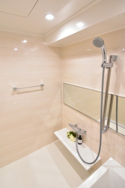 メゾン小石川 浴室