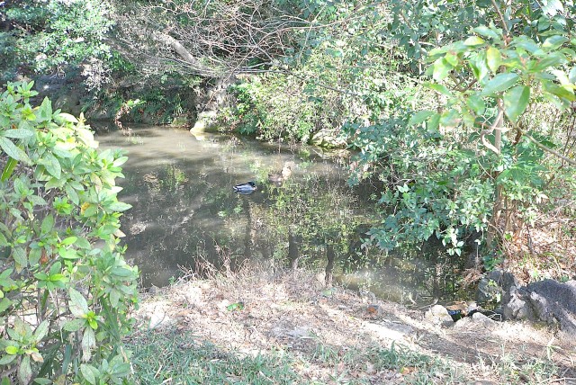 フラット田園調布806号室 周辺環境 (14)