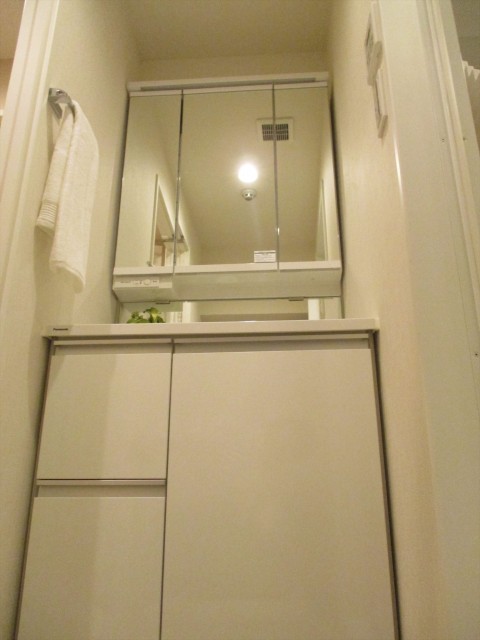 ソルシエ月島8洗面所全部