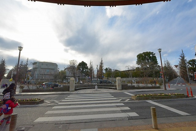 ビュラ田園調布202号室周辺環境 (6)