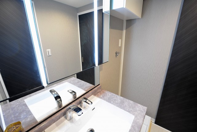 秀和恵比寿レジデンス 洗面